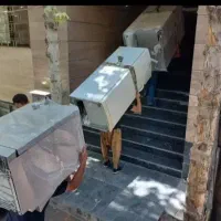 اتوباراسباب کشی اصولی باربری بسته بندی باکارگرVIP