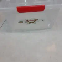 جا نونی