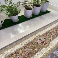 محافظ ریشه فرش