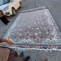 فرش نوپلم