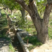 باغچه-انجم-اباد-برق-دار