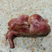 مرغ پوست کنده