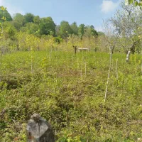 فروش زمین مسکونی، روستای اورما ملال