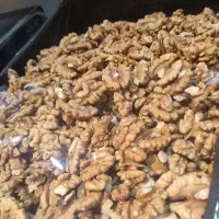 فروش انواع گردو مغز و با پوست