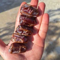 خرما|خوردنی و آشامیدنی|وحدتیه, |دیوار