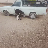 پیکانبار مدل ۹۱ دوگانه