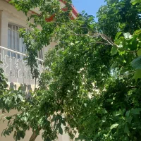 اجاره باغ ویلا