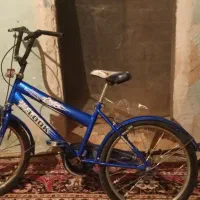 دوچرخه ۲۰ سالم