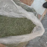 آویشن طبسی و زیره طبسی