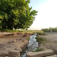 100-متر-زمین-نور-شرقی