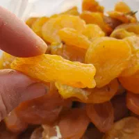 زردالو   ..قیصی عسگری درشت و گوشتی