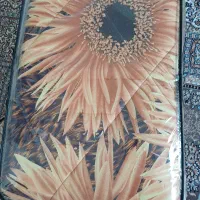 یه روتختی دو نفره