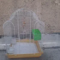 قفس پرنده،قفس طوطی قفس مرغ عشق