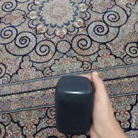 ضبط سالم