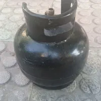 پیکنیک  در حد نو