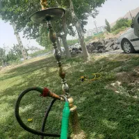 قلیون|کلکسیون و سرگرمی|شهر ری, هاشمآباد|دیوار