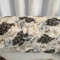 چادر مجلسی