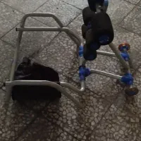 تن تاک
