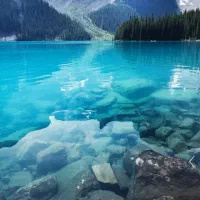 فروش سیمکارت همراه اول ۰۹۱۷دائمی