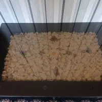 میز بزرگ با چهار عسلی سالم