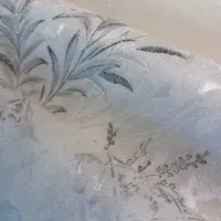 پخش کاغذ دیواری کفپوش رولی پوستر کارینو