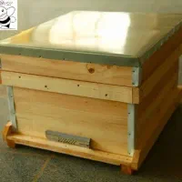 عسل طبیعی بهاره