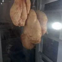 شاطر در کبابی
