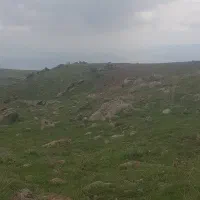 فروش زمین