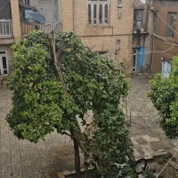 اتاق اجاره ای تمیز