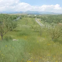 قطعه زمین در پسته بیگ
