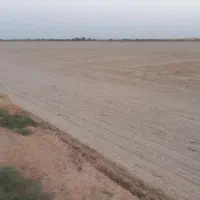 زمین کشاورزی جهت اجاره  ۱۲هکتار