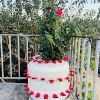 فروش گلدان نشکن  ،