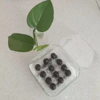 قرص ناف هم لاغر میشی هم کیست وفیبروم درمان میشه