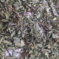 لیزک محلی اصل از کوه کمر چیدم لیزک باغی نیست طبیعی