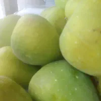 اناع انجیرسیاه گلابی سفید