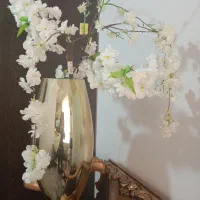 گل و گلدان بدون مشکل با گل های خارجی