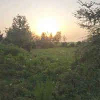 زمین صنعتی تجاری بایر بر آسفالت
