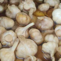سیرترشی درجه یک کله بار 15تن