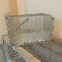 تله موش تمام آهنی متوسط
