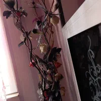 «شرکت پاک سرای ارم»     نظافت تضمینی منزل،آپارتمان