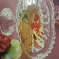 میوه خوری پایه دار سوگا ژاپن