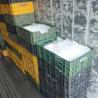 یخ قالبی حبه ای پودری