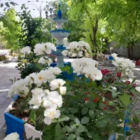 اجاره باغ ویلا خیلی شیک