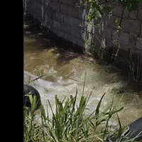 باغچه با سند آب ریشه ای