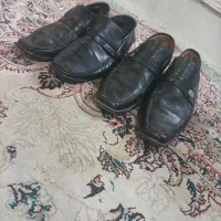 کفش مردانه|کیف، کفش، کمربند|زاهدان, |دیوار