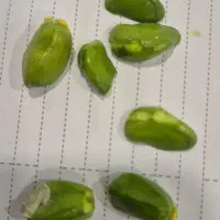 مغز پسته کال