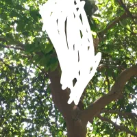 زمین بندسراجی مناسب برای خانه باغ