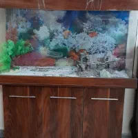 لوازم خانگی