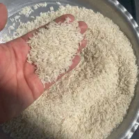 برنج هاشمی و زرددم