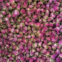 تامین تخصصی غنچه گل محمدی تناژ
